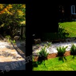 garden10