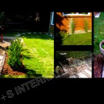 garden12