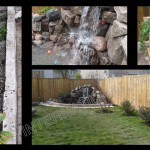 garden5